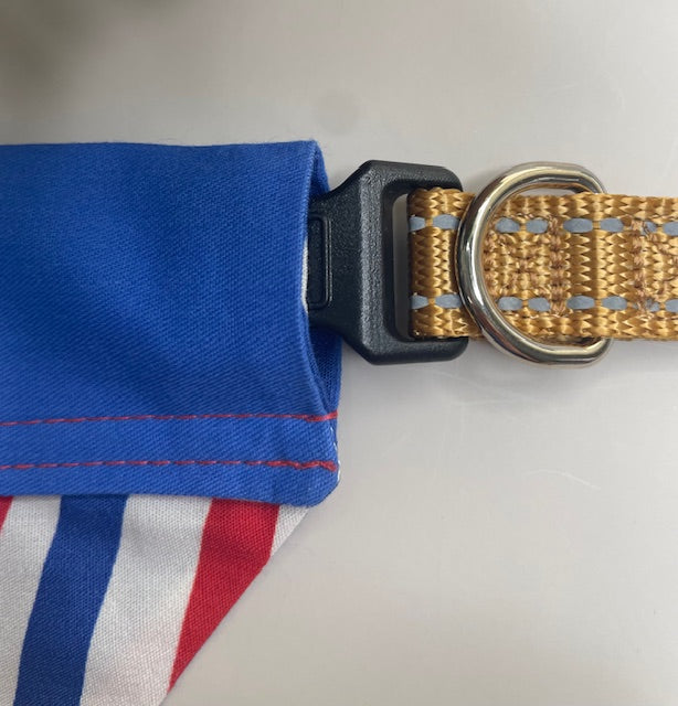 Dog Collar Bandana